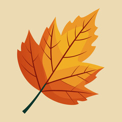 Naklejka premium Autumn leaf no background 