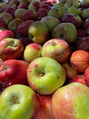 Red and Green Organic Apples
