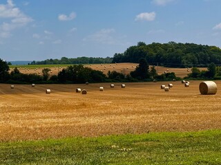 Obraz premium bales of hay