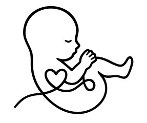 Fetus with heart-shaped umbilical cord — pregnancy symbol of maternal love, prenatal care, life beginning, motherhood, anatomy and fetal development.

