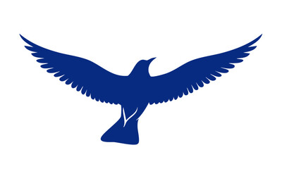bird flying