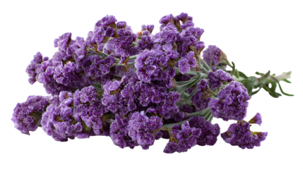 Statice flower bunch in dusty on white background 