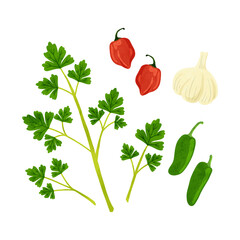 イタリアンパセリ・ニンニク・唐辛子のセット　水彩風手描きイラスト