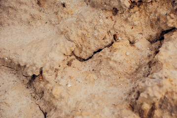 old stone wall texture