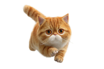 Free photo of cat in motion pose transparent background