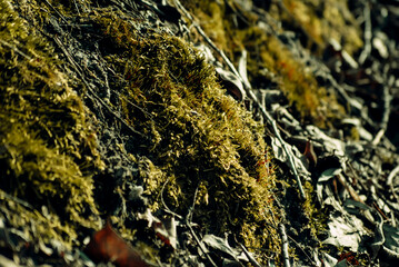 close up of a stone