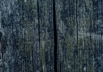 old wooden background