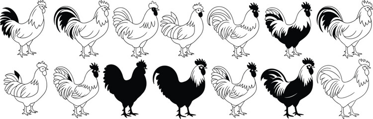 Rooster illustration set, black silhouette and line art, poultry bird poses, farm animal design, vector graphic collection, feather detail styles