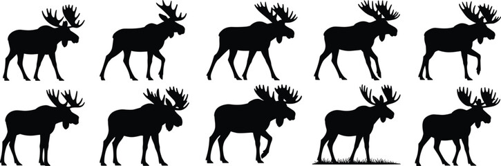 Moose walking silhouette set, side profile poses, antler variations, animal motion study, black vector graphic, wildlife illustration, nature animation reference