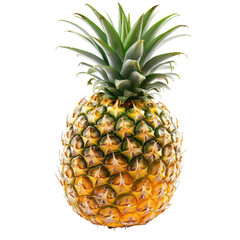 Close-up of a ripe pineapple.  Bright yellow-gold rind,  studded with small,  pointed,  light-tan scales.  