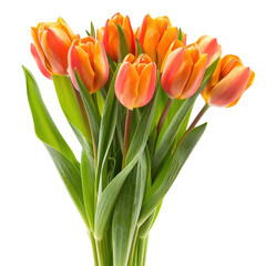 Close-up of a bouquet of vibrant orange-red tulips