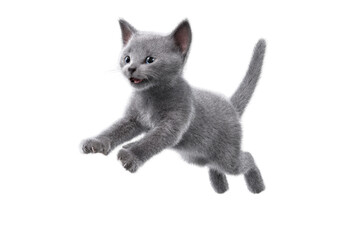 Free photo of cat in motion pose transparent background