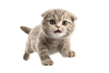 Obraz premium Free photo of cat in motion pose transparent background