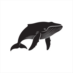 Fototapeta premium Black humpback whale illustration with white details marine life ocean