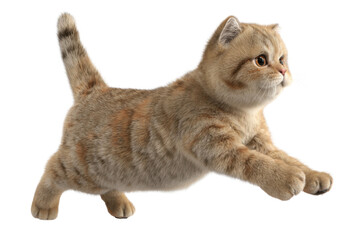 Free photo of cat in motion pose transparent background