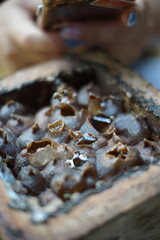 Traditiional beekeeping with native Mayan stingless bees in Guatemala