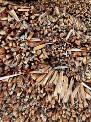 Chopped kindling logs wood on a wood pile on Vancouver Island 