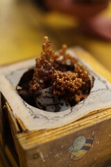 Traditiional beekeeping with native Mayan stingless bees in Guatemala