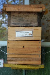 Traditiional beekeeping with native Mayan stingless bees in Guatemala