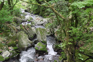 Obraz premium 岡山県真庭市 神庭の滝自然公園