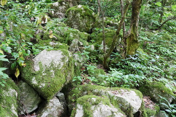 岡山県真庭市神庭の滝自然公園　神庭鬼の穴に向かう遊歩道