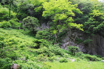 Naklejka premium 岡山県真庭市 神庭の滝自然公園