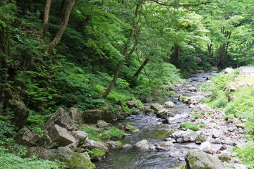 岡山県真庭市　神庭の滝自然公園