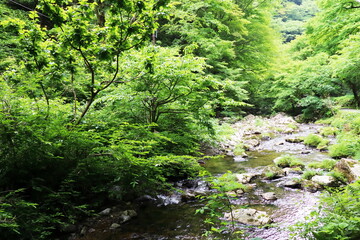 岡山県真庭市　神庭の滝自然公園