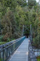 ニュージーランド　ウェスト・コースト地方のレイク・マセソン・ウォークにかかる吊り橋