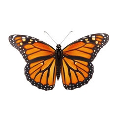 Fototapeta premium Close-up of an orange and black monarch butterfly, wings spread, against a black background. Detailed wings show intricate patterns of orange and black. Tiny black spots adorn the wings