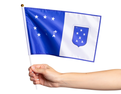 Hand Holding Mini French Southern Territories Flag on Stick, Side View with Fluttering Motion, Isolated on Transparent Background