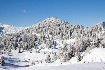 Obraz premium Ski slopes in the ski area des Houches Chamonix Mont-Blanc Haute-Savoie France
