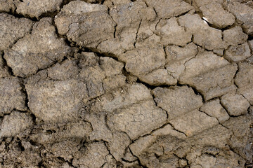 Wall texture soil dry crack pattern of drought lack of water of nature brown old broken background.