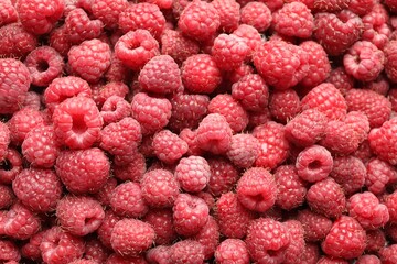 Many fresh ripe raspberries as background, top view
