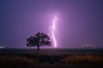 Dramatic lightning strike over a lone tree in a field at dusk