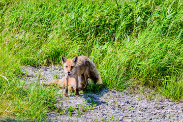 宗谷丘陵の絶景を巡る周氷河ロード 
