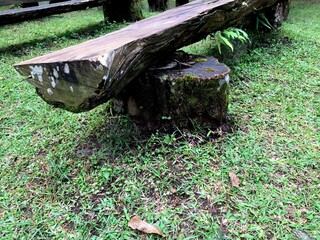 A row of park benches made from mountain pine wood or mugo pine in a pine forest park in Yogyakarta, Indonesia.