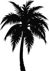Silhouette of a Palm Tree with Detailed Leaves, Tropical Vector Art
