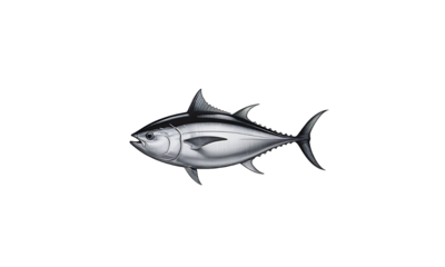 Premium Tuna Illustration High-Resolution Seafood Image for Commercial Use