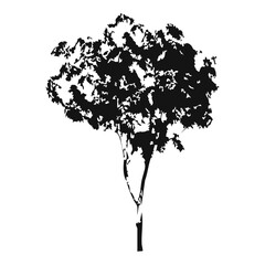 Fototapeta premium Hand drawn tree silhouette on white background