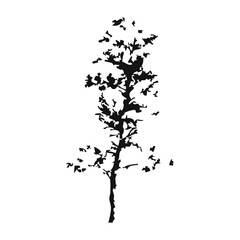Hand drawn tree silhouette on white background