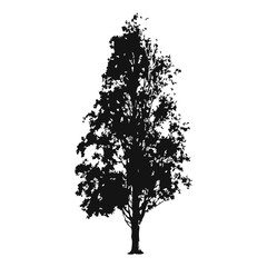 Hand drawn tree silhouette on white background