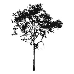 Obraz premium Hand drawn tree silhouette on white background