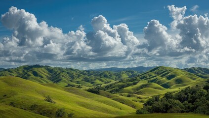 Fototapeta premium Rolling green hills under a bright, sunny sky; landscape panorama; travel, nature