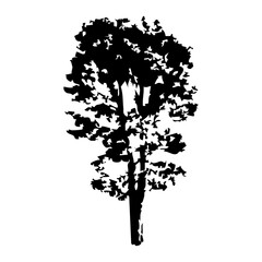 Hand drawn tree silhouette on white background