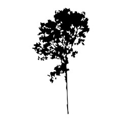 Hand drawn tree silhouette on white background