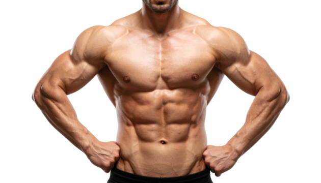 Abs PNG, Muscular Male Torso Isolated, Transparent Background, Fitness and Bodybuilding Concept - Powered by Adobe