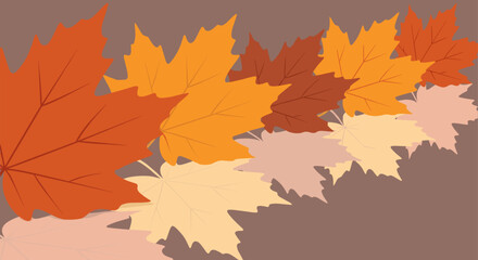 Obraz premium Abstract row of colorful Autumn Leaves