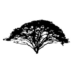 Fototapeta premium Hand drawn tree silhouette on white background