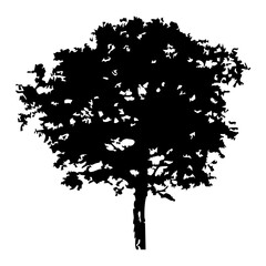 Hand drawn tree silhouette on white background